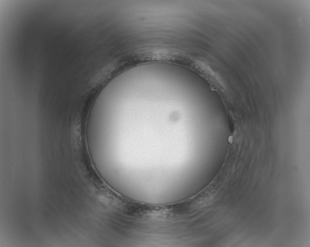 X0000074940306200609152011