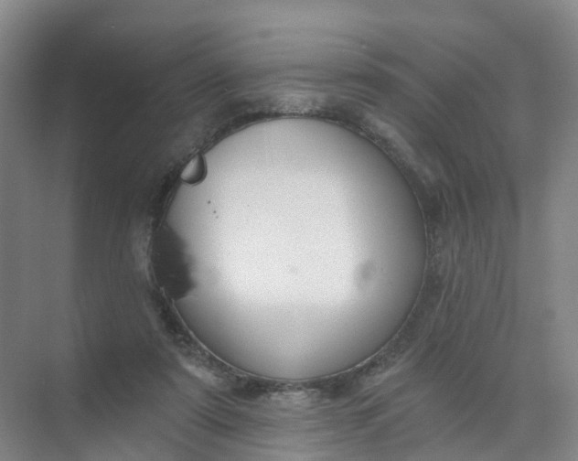 X0000074940307200609152011