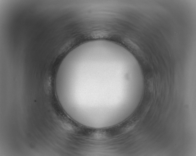 X0000074940308200609152011