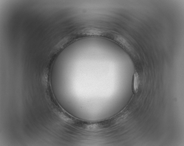 X0000074940309200609152011