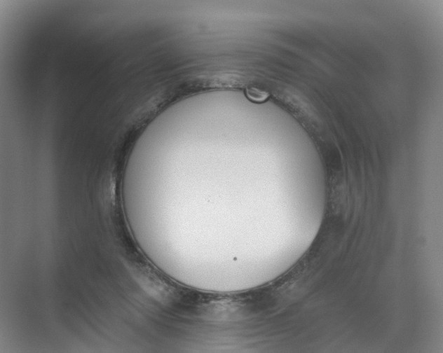 X0000074940310200609152011