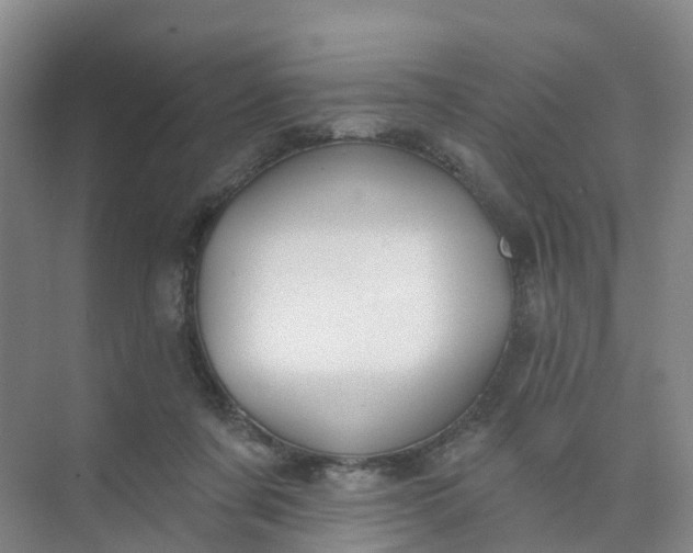 X0000074940311200609152011