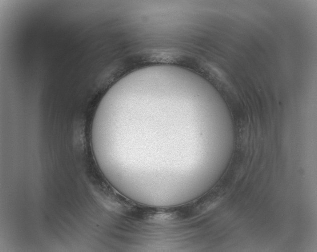 X0000074940312200609152011