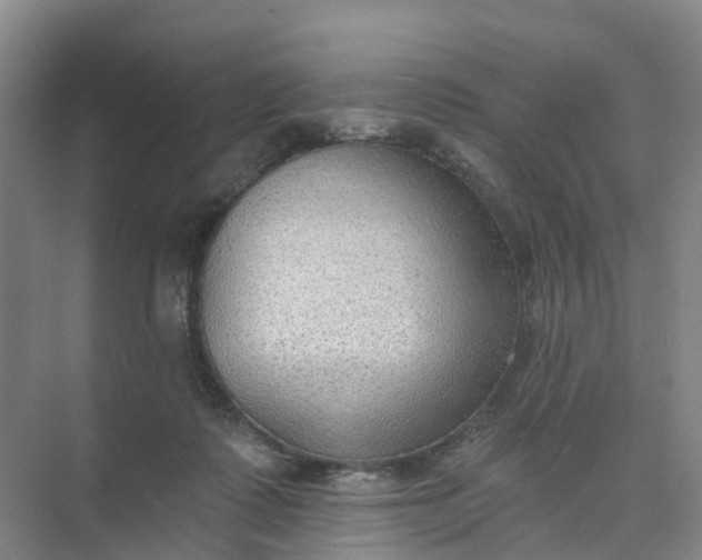 X0000074940315200609152011