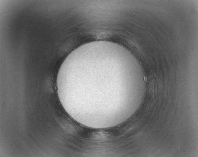 X0000074940316200609152011