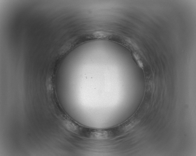 X0000074940317200609152011