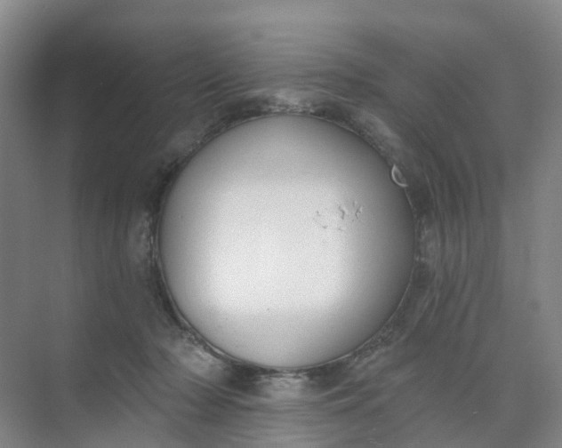 X0000074940318200609152011