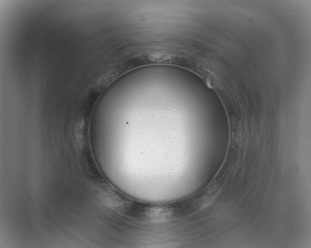 X0000074940319200609152011