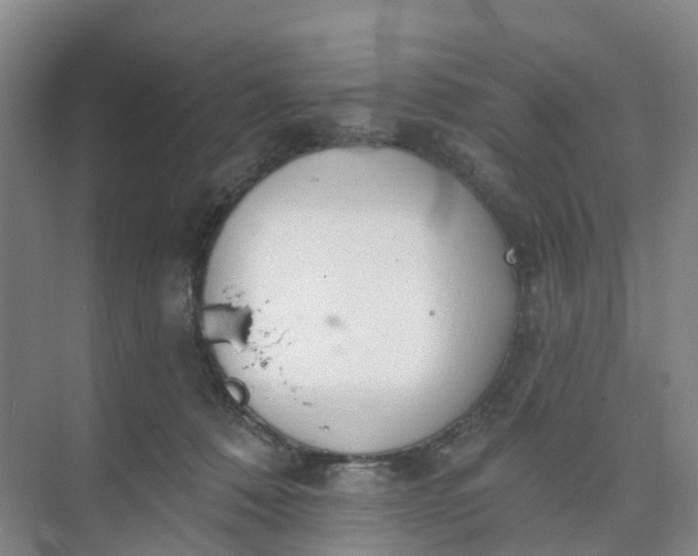 X0000074940320200609152011