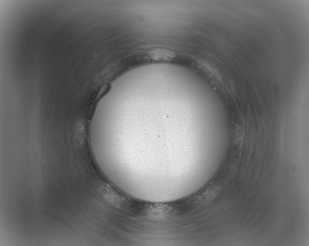 X0000074940321200609152011