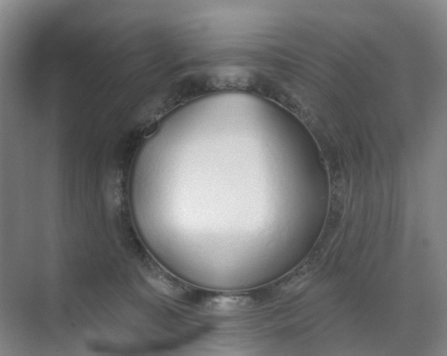 X0000074940323200609152011