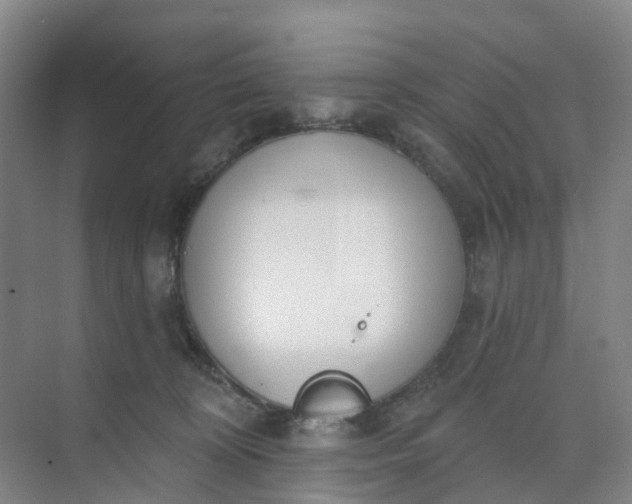 X0000074940324200609152011