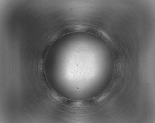 X0000074940325200609152011