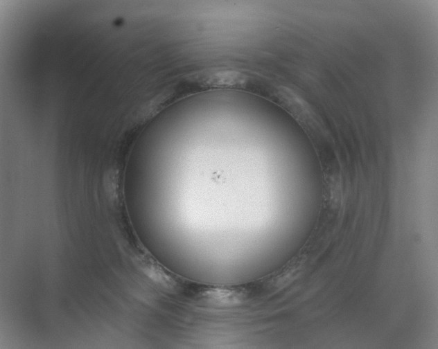 X0000074940326200609152011