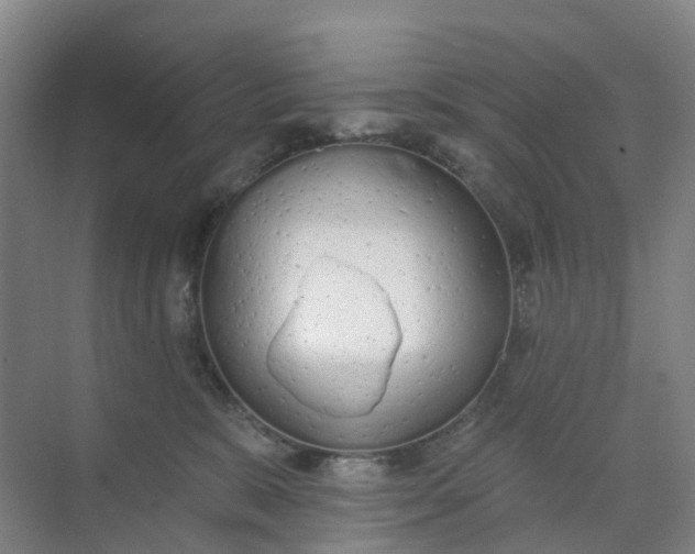 X0000074940327200609152011