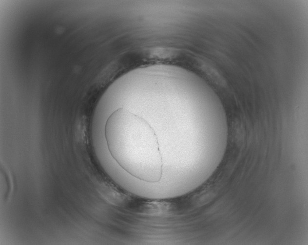 X0000074940328200609152011