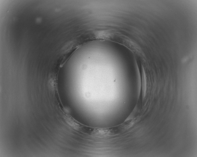 X0000074940329200609152011