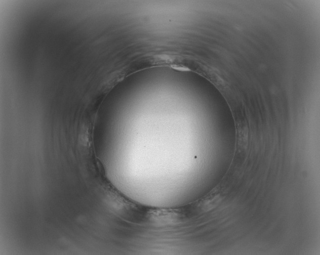 X0000074940331200609152011