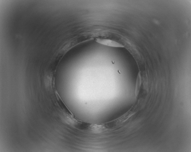 X0000074940333200609152011