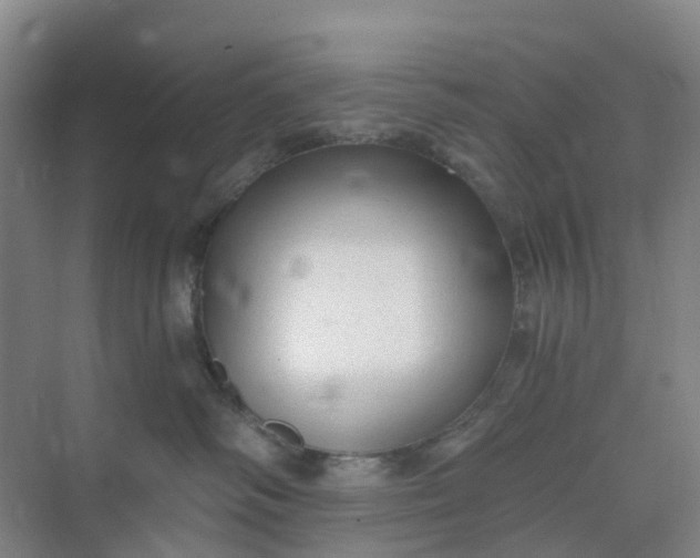 X0000074940334200609152011