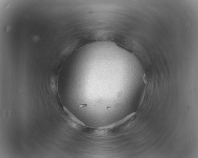 X0000074940335200609152011