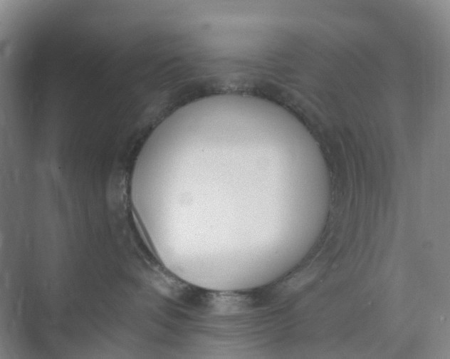 X0000074940336200609152011