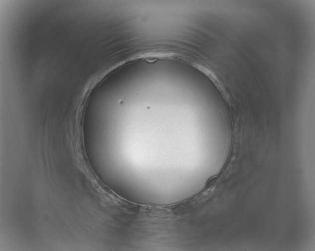 X0000074940337200609152010