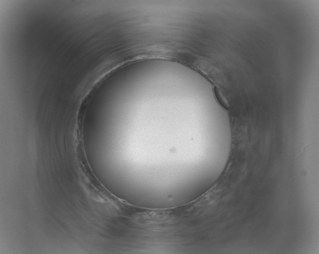 X0000074940338200609152010