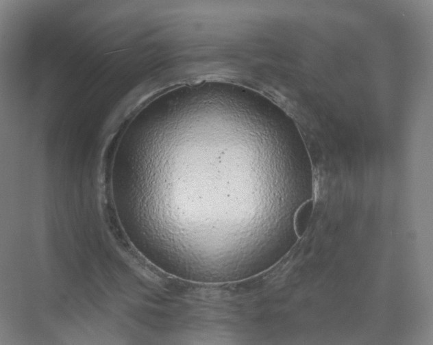 X0000074940339200609152010