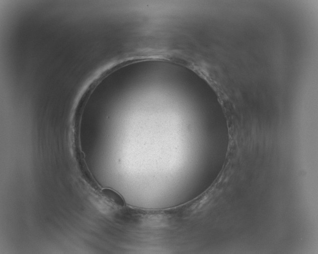 X0000074940342200609152010