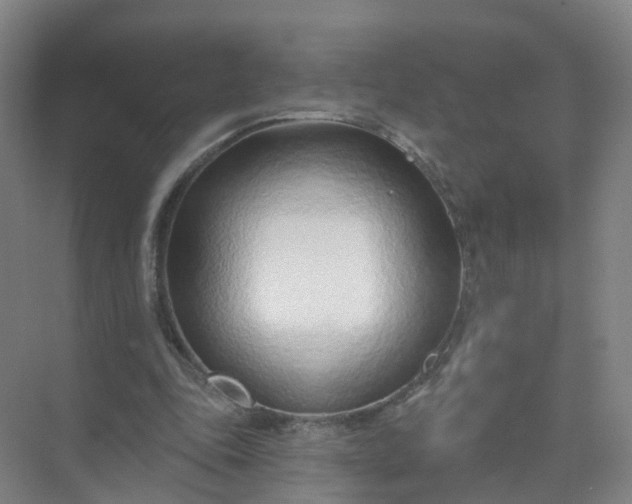 X0000074940343200609152010