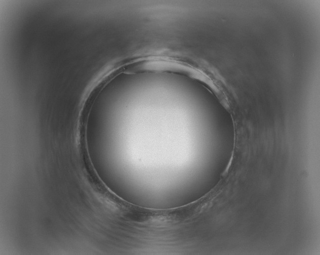 X0000074940344200609152010