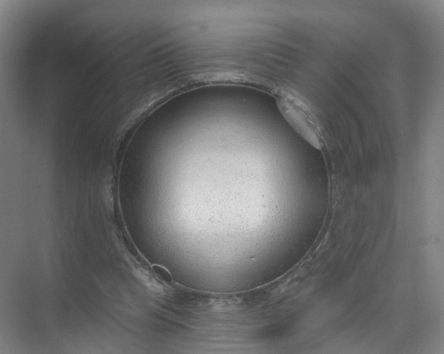 X0000074940345200609152010