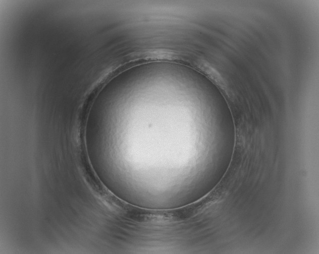 X0000074940347200609152010