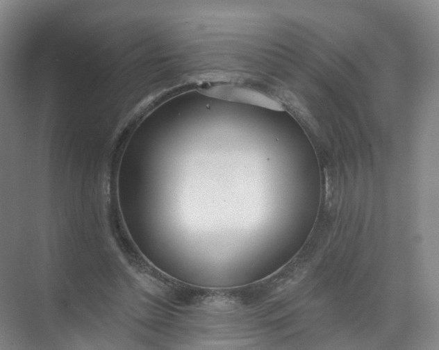 X0000074940348200609152010