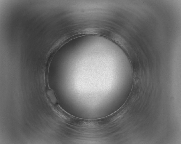 X0000074940349200609152010