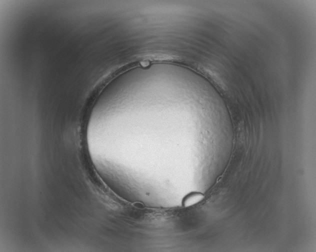 X0000074940351200609152010