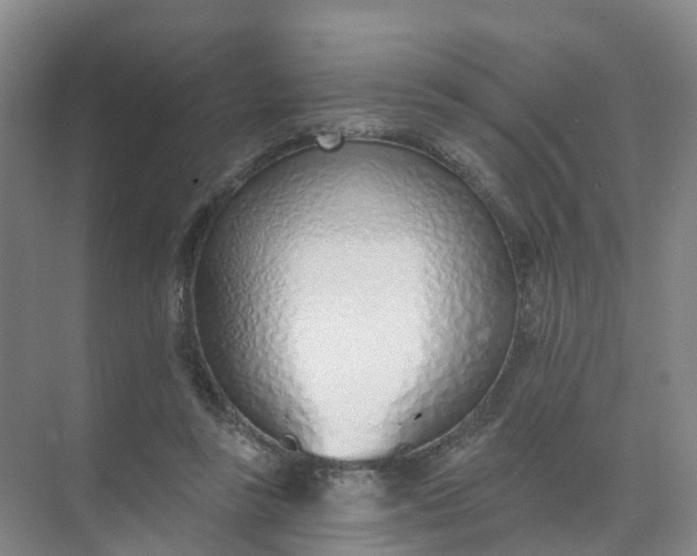 X0000074940355200609152010