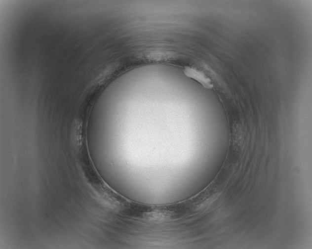 X0000074940356200609152010