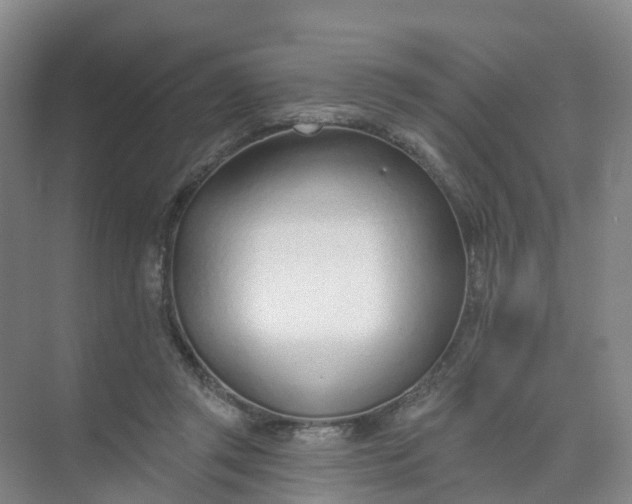 X0000074940357200609152010