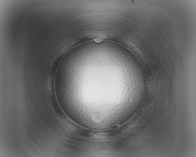 X0000074940359200609152010