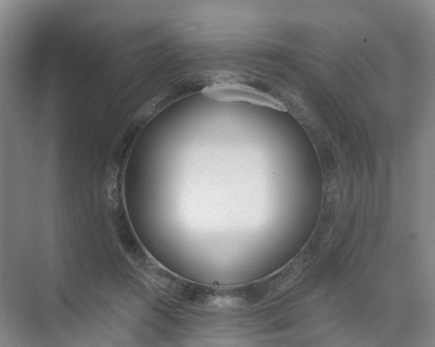 X0000074940360200609152010