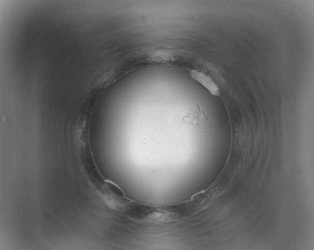 X0000074940364200609152011