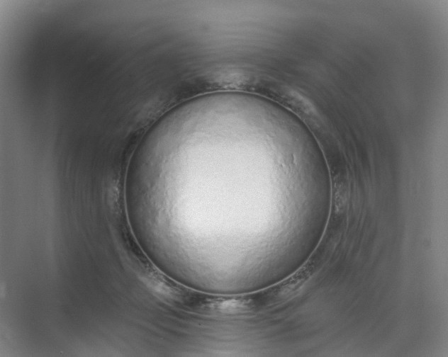 X0000074940365200609152011