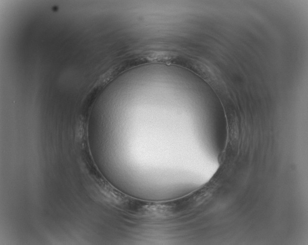 X0000074940367200609152011