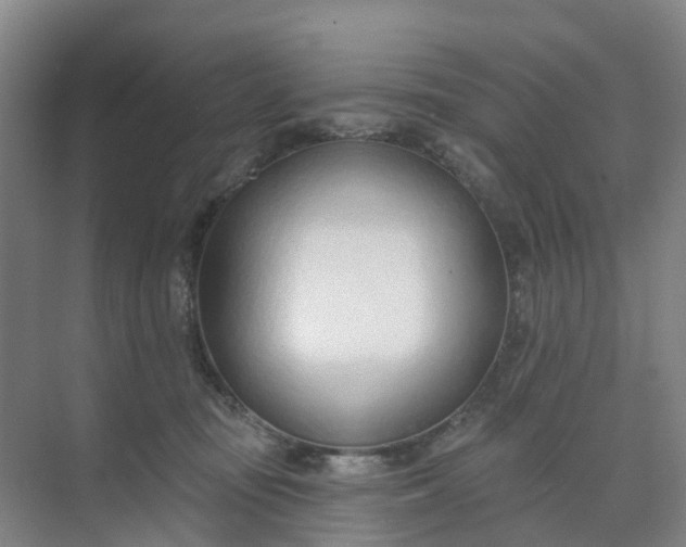 X0000074940371200609152011