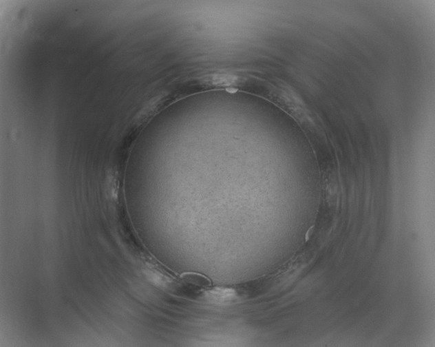 X0000074940374200609152011