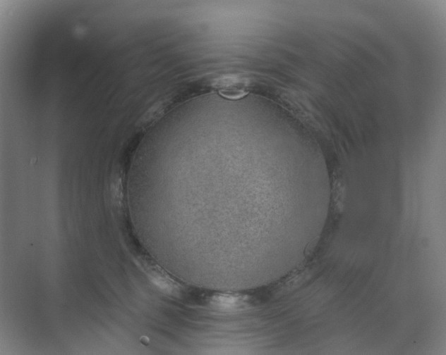 X0000074940375200609152011