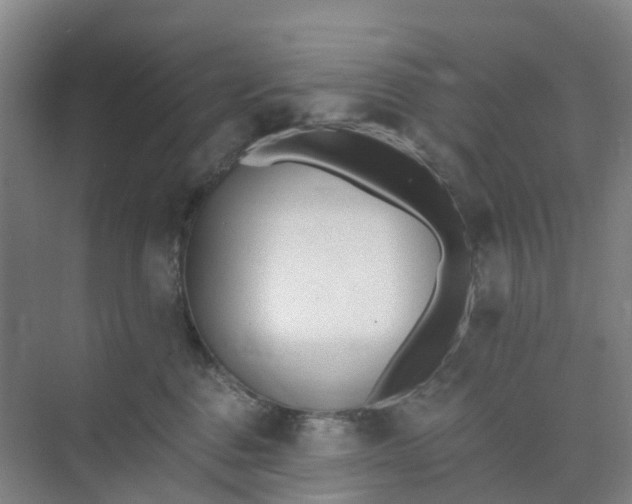 X0000074940376200609152011