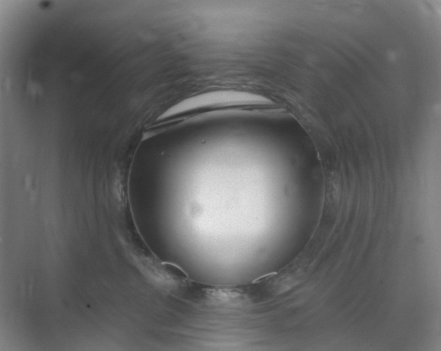 X0000074940380200609152011